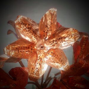 copper day lily
