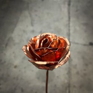 copper rose